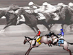Test Your Knowledge: The Quiz Race 